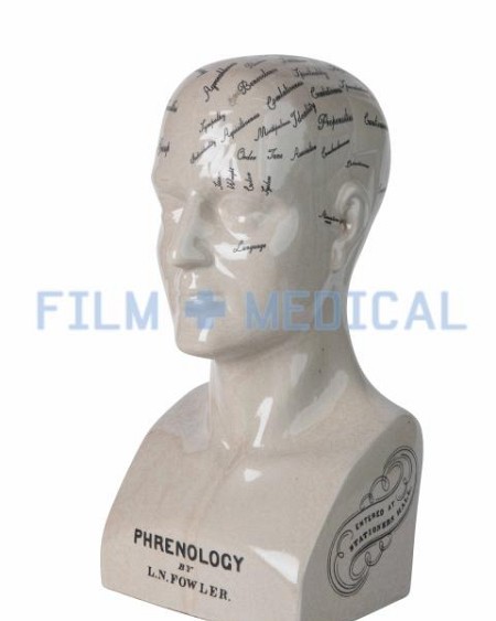 Phrenology Head 